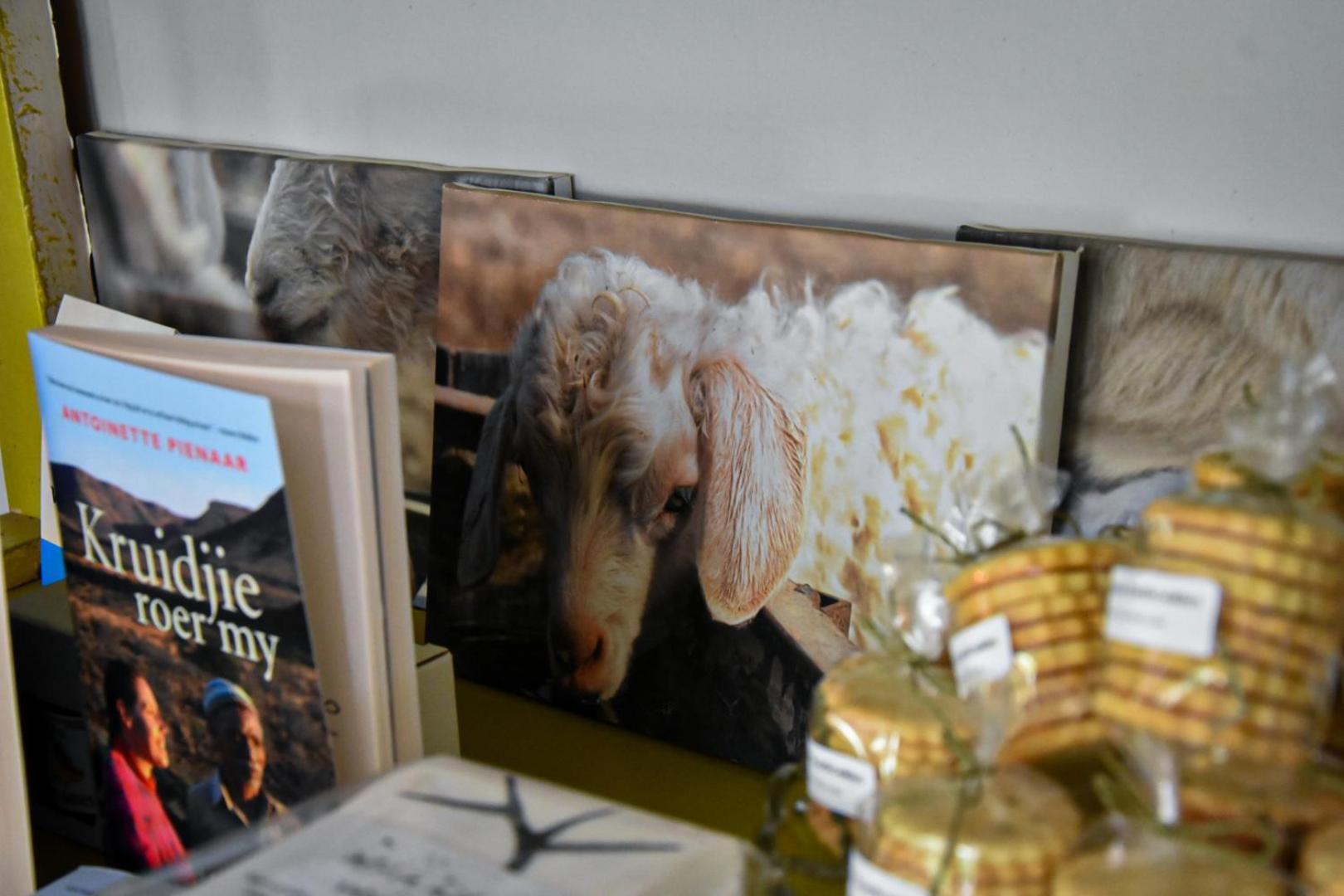 Beautiful Betty Guesthouse Beaufort West Bagian luar foto