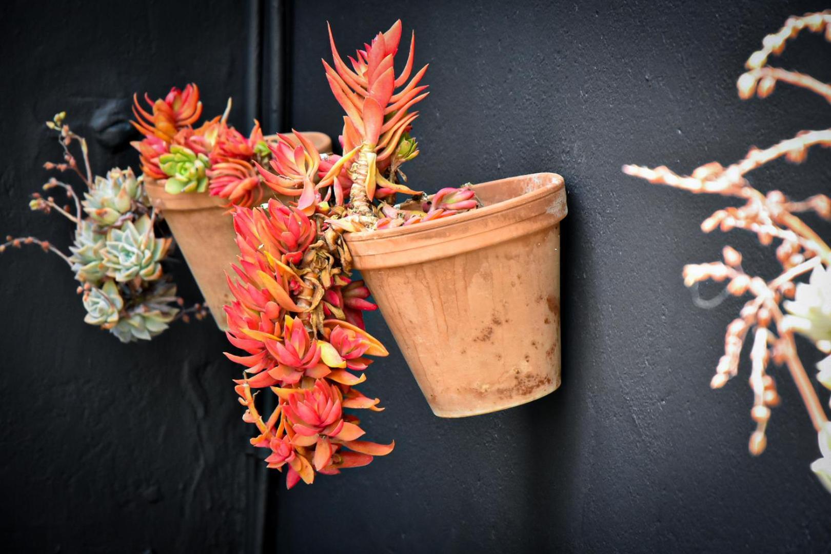 Beautiful Betty Guesthouse Beaufort West Bagian luar foto